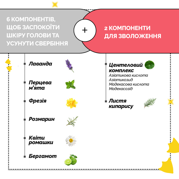 Пілінг для шкіри голови з частинками солі з мертвого моря Dr.FORHAIR Sea Salt Scaler forhair005 фото
